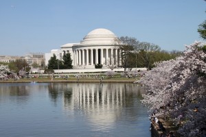 The Jefferson Memorial, with a reflection in Washington’s Tidal Basin, framed by cherry blossoms.