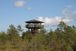 The lookout tower in Estonia’s Lahemaa National Park, giving a sweeping overview of the Viru Bog.