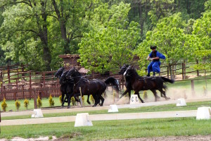 The standing horseman and his horses gaining speed. 