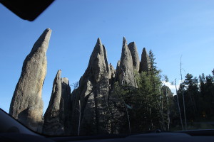 More of the Black Hills’ famed scenic attractions. These formations in Custer State Park, called the Needles, were photographed through our car’s windshield.