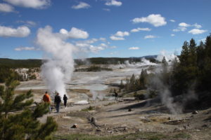 The Norris Geyser Basin, an otherworldly vision of hydrothermal activity in Yellowstone National Park. This site was a surprise favorite for me.