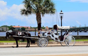 For more on our journey along the Intracoastal Waterway: Carriages offer a popular way to see St. Augustine.