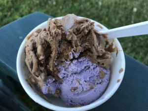 Ice cream flavored with lavender. These were lavender mint Bavarian chocolate and lavender blueberry.