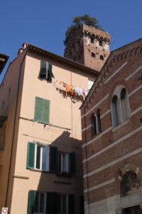 The top of Lucca’s Guinigi Tower House, with trees growing out of the top. Visitors can climb to the top of this one.