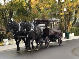 Grand Hotel horse and carriage.