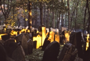 Tombstones, crowded with many tilted in one direction or the another, in the Old Jewish Cemetery in Prague. Operational from the 15th to 18th centuries, the cemetery accommodated burials three to five deep. A character in Dan Brown’s book visits a grave here.